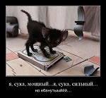 Аватара пользователя