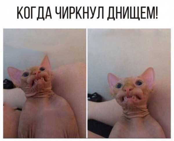 11960213.jpg