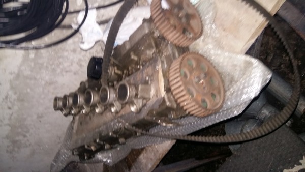 20180904_202634.jpg