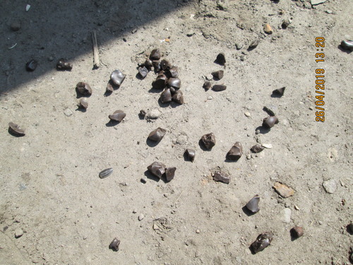 04.jpg