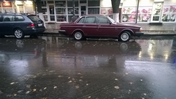 WP_20191003_001.jpg