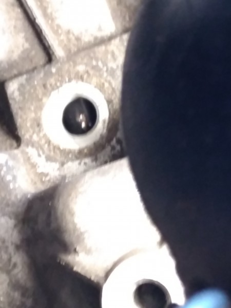 IMG_20200606_131440.jpg