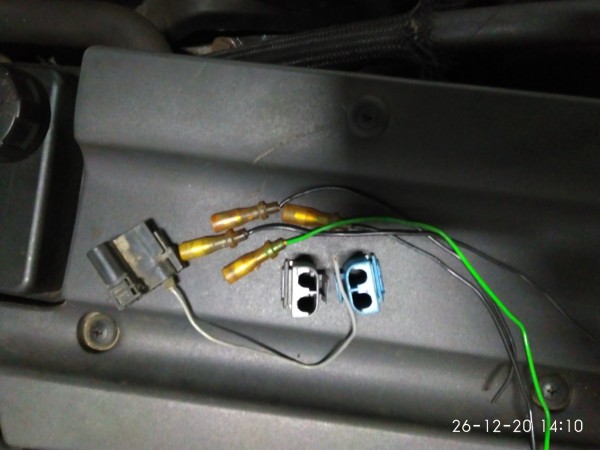 IMG_20201226_141036.jpg