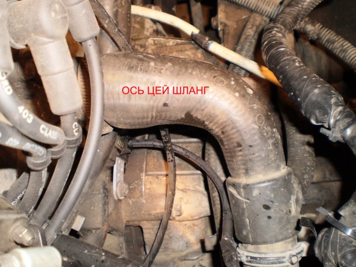 PA050050.JPG