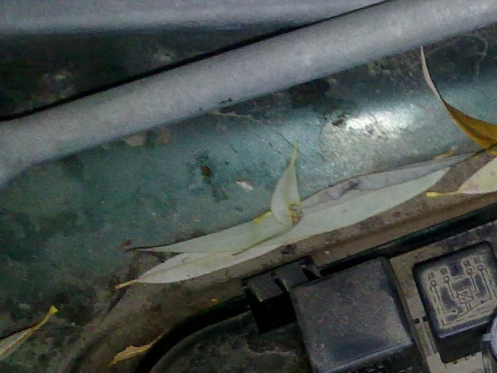 24112011178.jpg