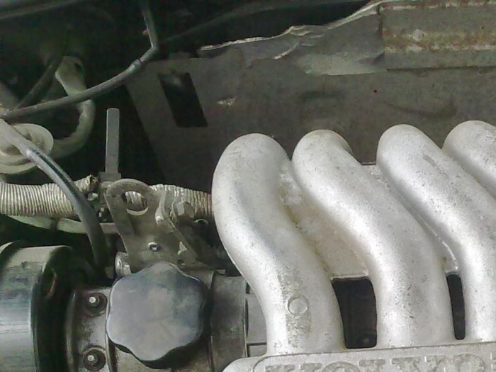 24112011179.jpg