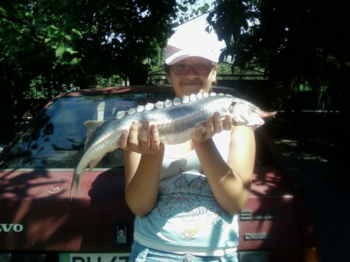 SP_A0858.jpg
