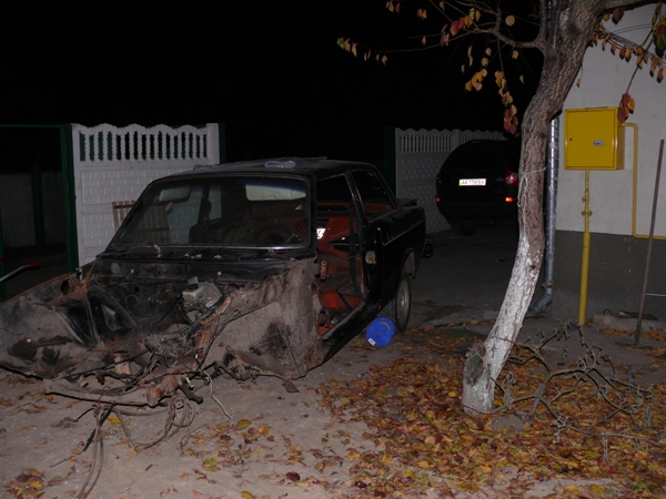 P1070660-1.JPG
