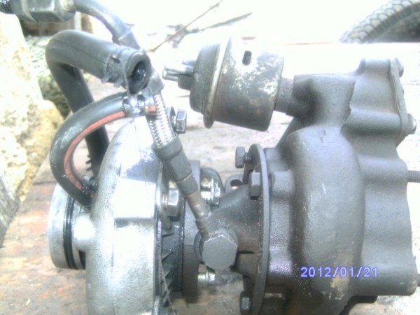 PICT4955.JPG