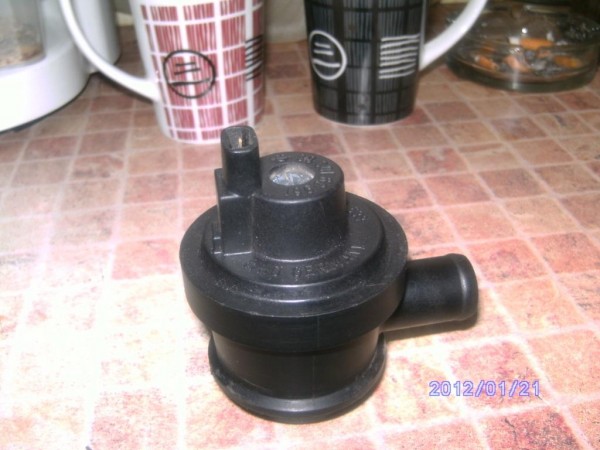 PICT4957.JPG