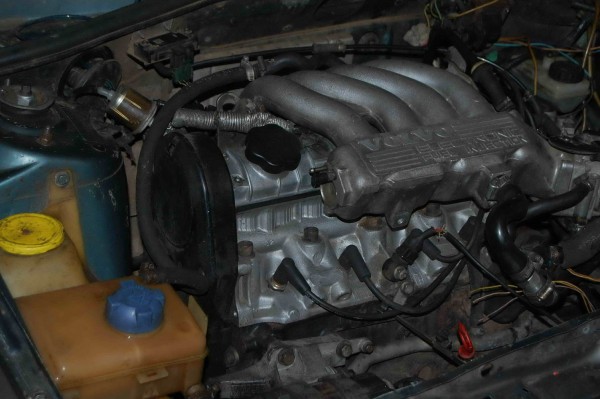 DSC_5690.jpg