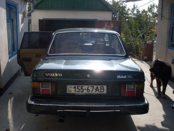 02.jpg