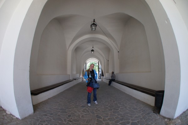 DSC03547.JPG
