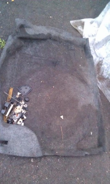 IMAG0179.jpg