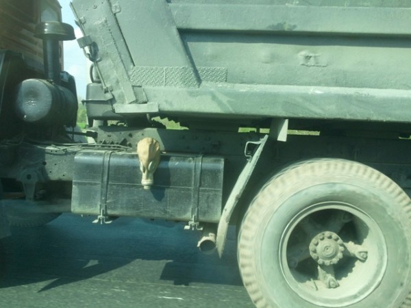 дорога.jpg