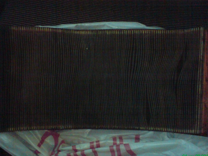 DSC014921111.JPG
