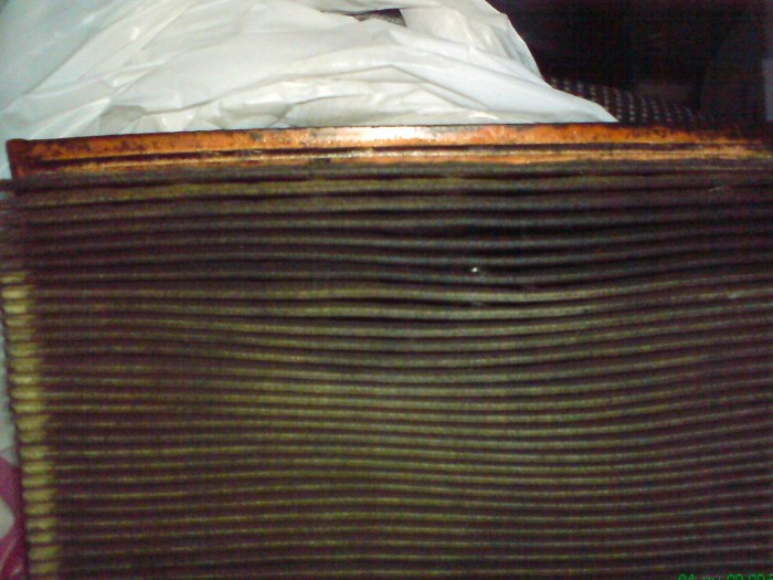 DSC014931111.JPG
