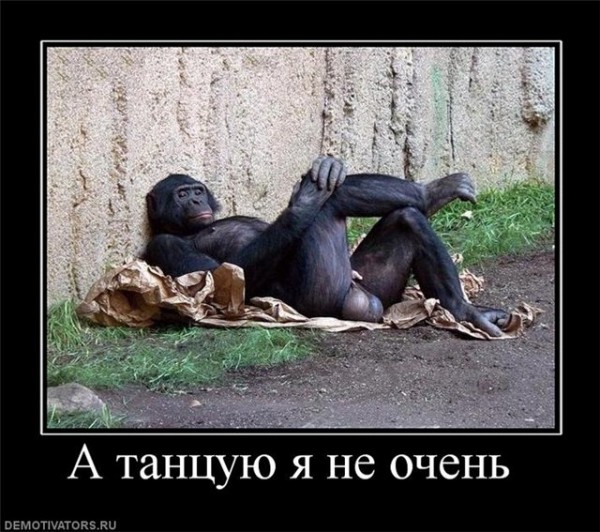 2d732f178d97.jpg