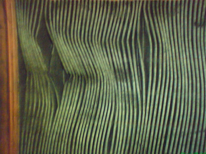 DSC014951111.JPG