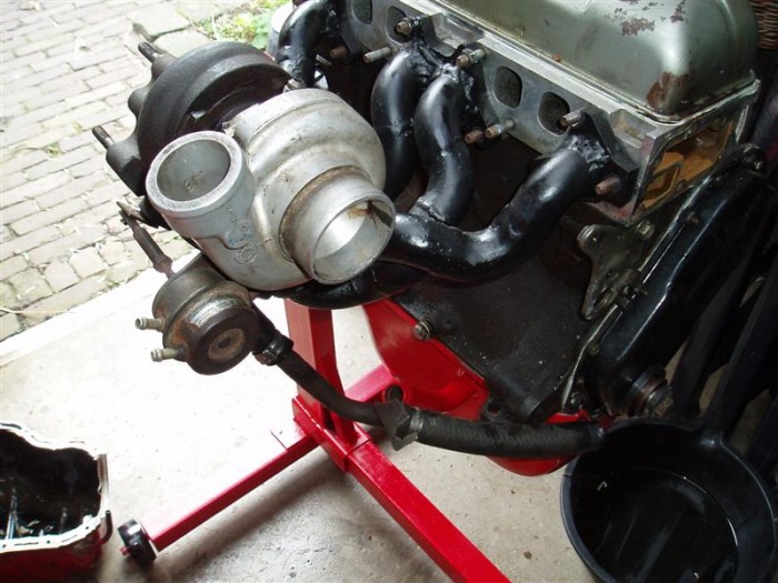 P4241464Medium.jpg