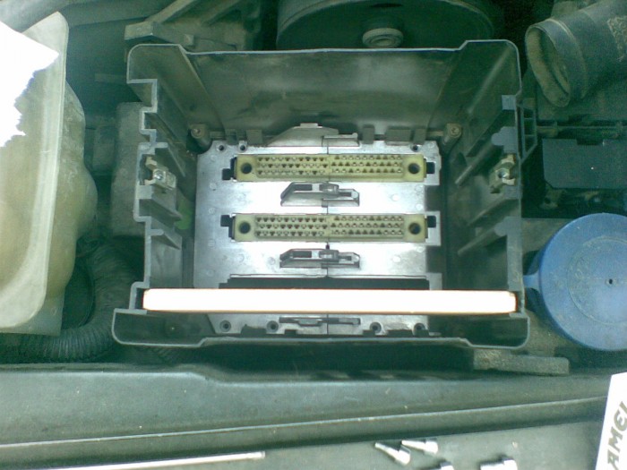 ABCD0005.JPG