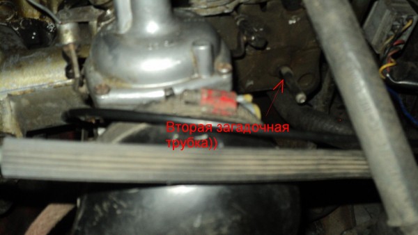 DSC01524.JPG