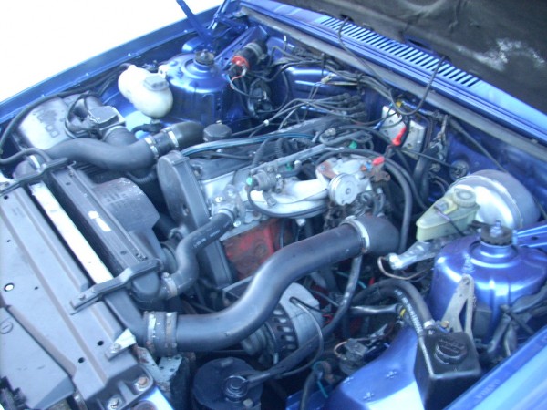 DSCN7437.JPG