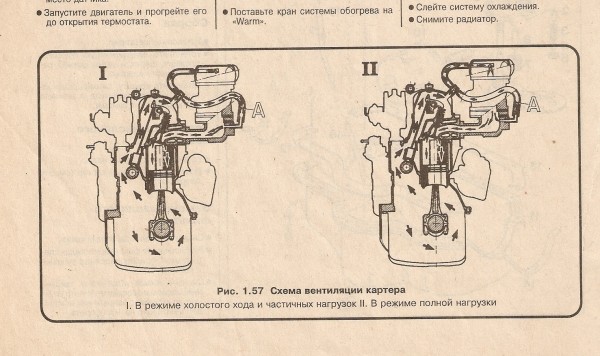 сканирование0006~1.jpg