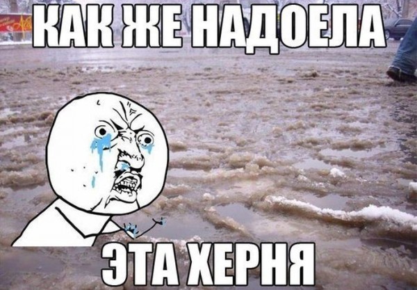 1360224015_comix_13.jpg
