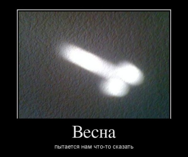 1363763039_demotivaatory_19.jpg