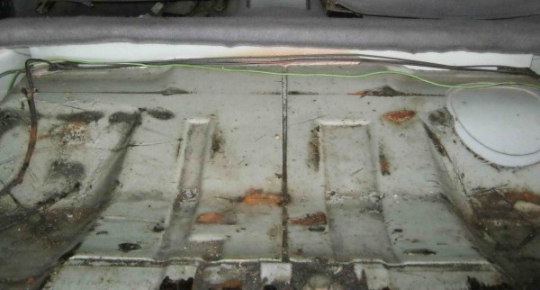 IMG_0008_1.jpg
