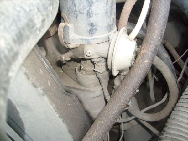 S7305177.JPG