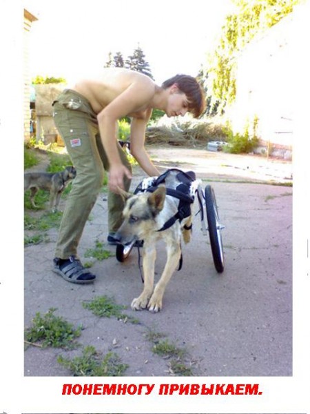 1б.jpg