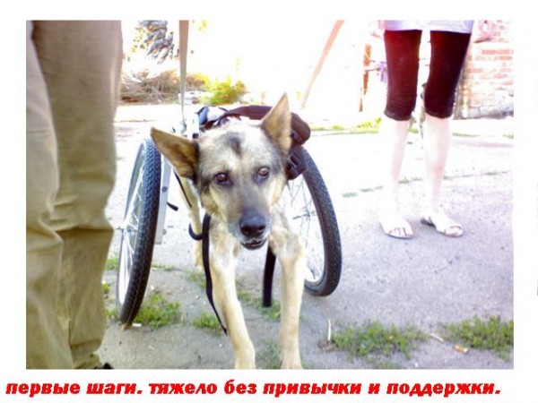 1г.JPG