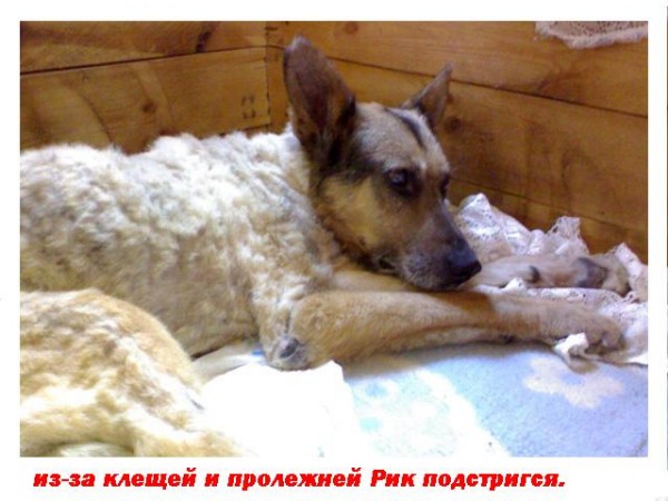 1д.jpg