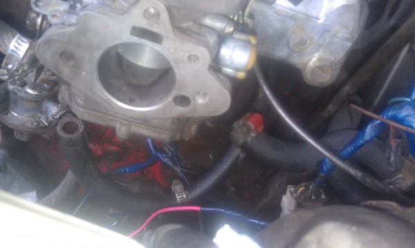 IMAG0534_resize.jpg