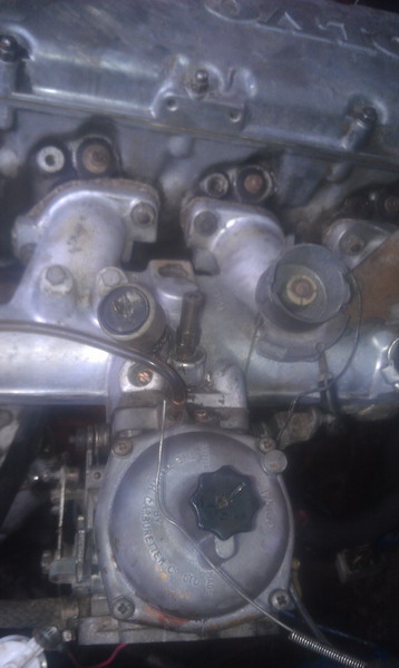 IMAG0531_resize.jpg
