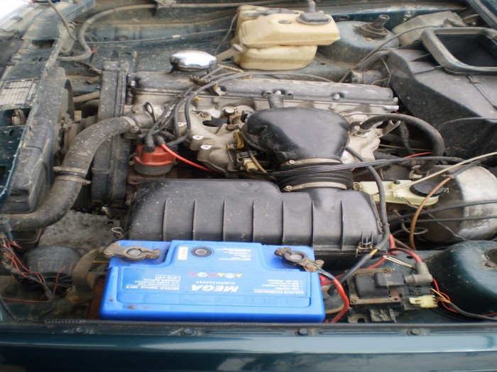 P1310542_13.jpg