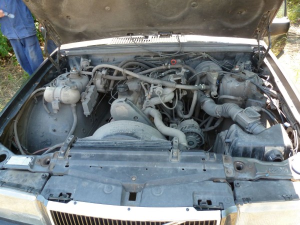 P1040752_mini.JPG