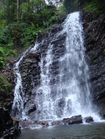 x_f093a528.jpg