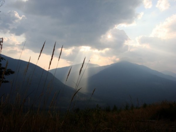 x_105956f1.jpg