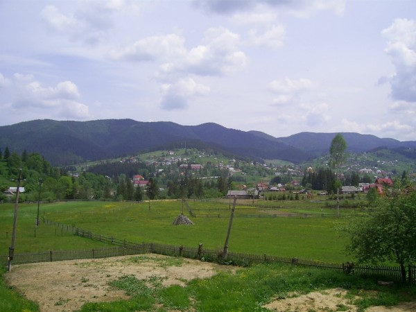 PIC_0002.JPG