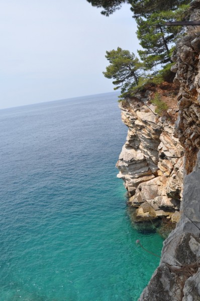 DSC_0180.JPG