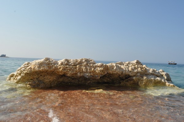 DSC_0040.JPG