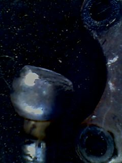 IMG0025A.jpg