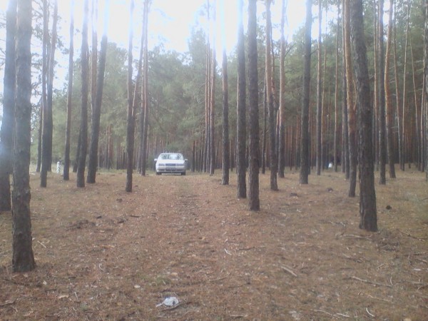 PIC-00004.jpg