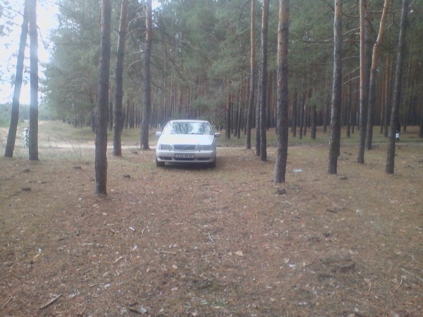 PIC-00005.jpg