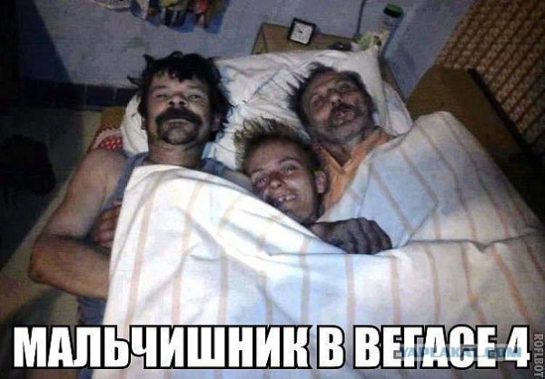 2550210.jpg
