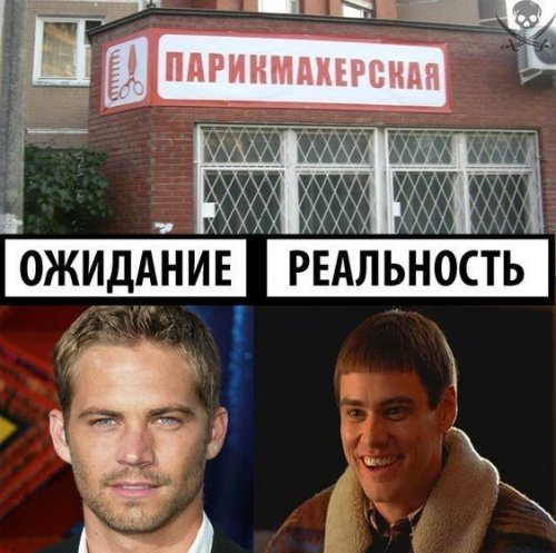 1358509159_prikolnosti-1.jpg