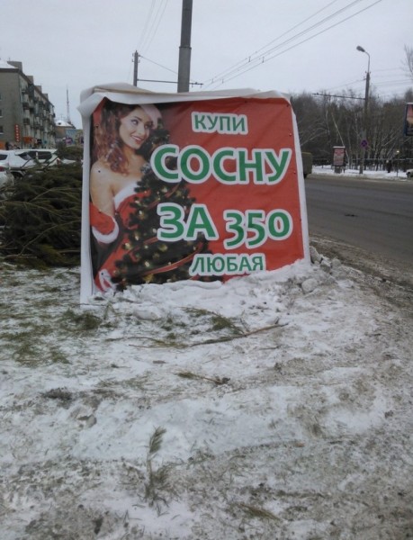 2587429.jpg